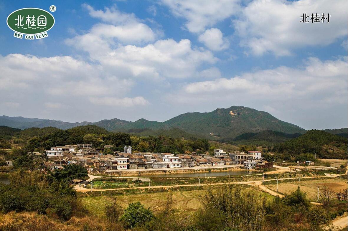 新洲北桂园-阳江市阳东区人民政府网站