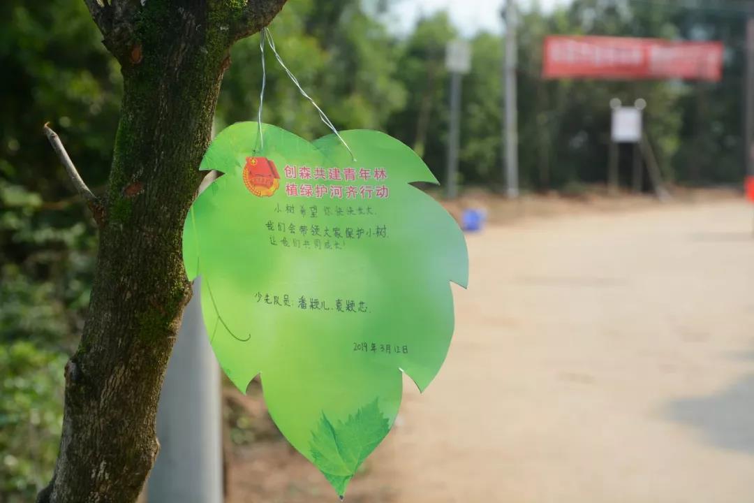 是植树节,参加这次活动很兴奋,我已种下了几棵树苗,并写下了植树寄语