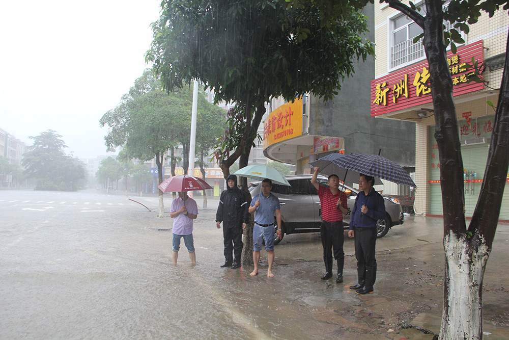 陈广尊副区长到福兴路福安路振仕路等路段察看暴雨灾情