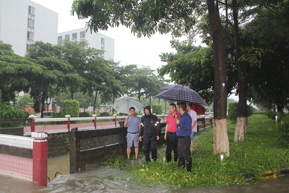 陈广尊副区长到福兴路福安路振仕路等路段察看暴雨灾情