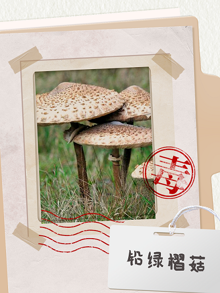 图片16.png