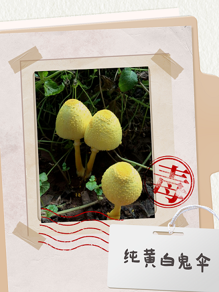 图片4.png