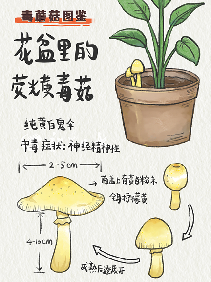 图片5.png
