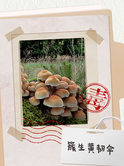 图片6.png