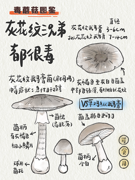 图片9.png