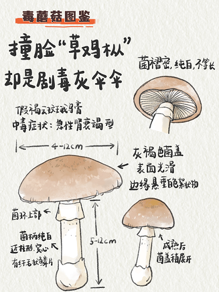 图片11.png