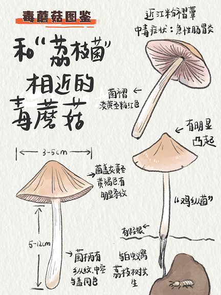 图片13.png