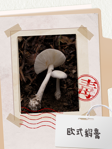 图片14.png