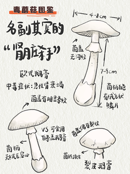 图片15.png