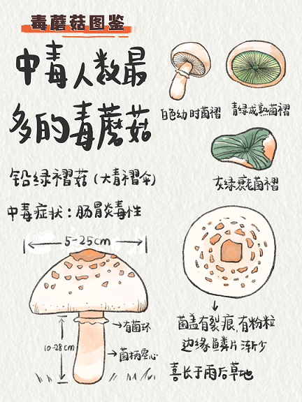 图片17.png